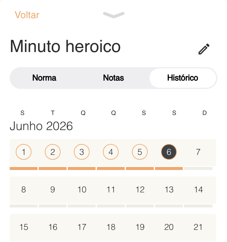 App Plano de Vida mostrando calendário de acompanhamento e histórico